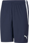 Spodenki męskie Puma teamLIGA granatowe 704924 06