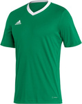Koszulka męska adidas Entrada 22 Jersey zielona HI2123