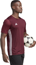 Koszulka męska adidas Tabela 23 Jersey bordowa IB4928