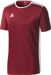 Koszulka dla dzieci adidas Entrada 18 Jersey JUNIOR bordowa CE9564