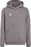 Bluza dla dzieci adidas Entrada 22 Hoody szara H57515