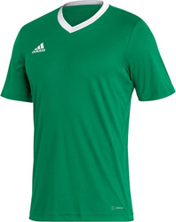 Koszulka męska adidas Entrada 22 Jersey zielona HI2123