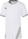 Koszulka dla dzieci Puma teamGOAL 23 Jersey biała 704160 04