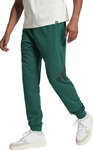 Spodnie męskie adidas Essentials Big Logo French Terry zielone JE8971