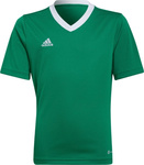 Koszulka dla dzieci adidas Entrada 22 Jersey zielona HI2126