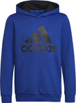 Bluza dla dzieci adidas Youth Essentials Hoodi niebieska HN1912