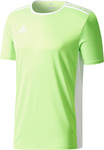 Koszulka dla dzieci adidas Entrada 18 Jersey JUNIOR limonkowa CE9758/CE9755