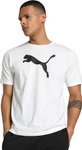 Koszulka męska Puma Team Rise Logo Jersey Cotton biała 658705 04