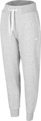 Spodnie damskie 4F szare H4Z22 SPDD351 27M