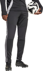 Spodnie męskie adidas Tiro 24 WInterized czarne IM9974