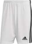 Spodenki treningowe krótkie męskie adidas Squadra 21 Short białe GN5773