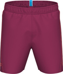 Męskie Szorty Fundamentals Arena Logo Boxer R  poppy red/patriot blue rozmiar S