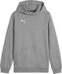 Bluza dla dzieci Puma Team Goal Casuals Hoddy szara 658619 33