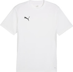 Koszulka męska Puma TeamGoal Jersey biała 658636 04