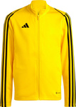 Bluza dla dzieci adidas Tiro 23 League Training żółta IC7874