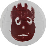 Piłka siatkowa Wilson MR Castaway biała WTH4615XDEF