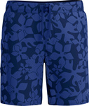 Męskie Szorty Print Brdshrt 18"  fiery red/white/french blue rozmiar 34