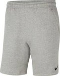Spodenki dla dzieci Nike Flecee Park 20 Short KZ szare CW6932 063