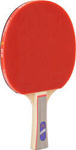Rakietka do tenisa stołowego ping ponga Giant Dragon 3★ N8031 pokrowiec