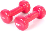 Hantle winylowe Profit różowe 2x1,5 kg DK 4102