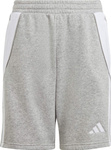 Spodenki dla dzieci adidas Tiro 24 Sweat szare IS1005