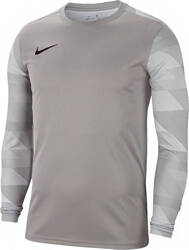 Bluza bramkarska dla dzieci Nike Dry Park IV JSY LS GK Junior szara CJ6072 052