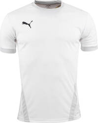 Koszulka męska Puma teamGOAL 23 Jersey biała 704171 04