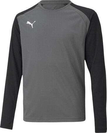 Bluza bramkarska dla dzieci Puma teamPACER GK LS Jersey szara 704939 43