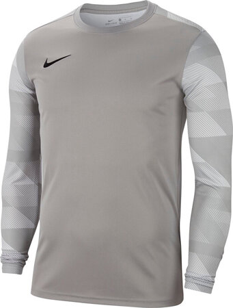 Bluza bramkarska męska Nike Dry Park IV JSY LS GK szara CJ6066 052