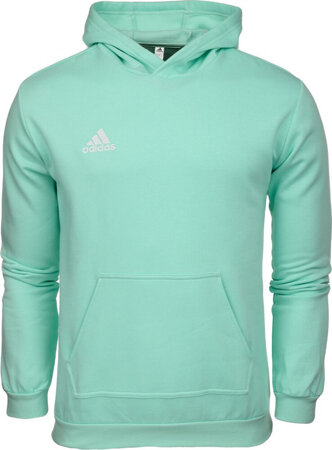 Bluza dla dzieci adidas Entrada 22 Hoody miętowa HC5066