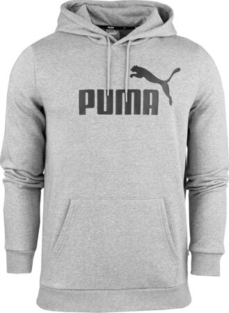 Bluza męska Puma ESS Big Logo Hoodie FL szara 586686 03