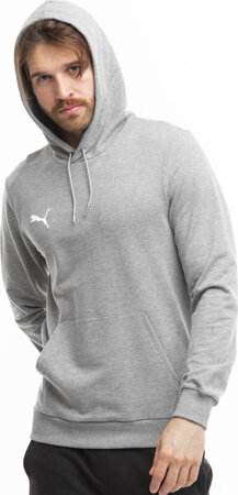 Bluza męska Puma Team Goal Casuals Hoody szara 658618 33