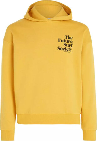 Damska bluza O'neill FUTURE SURF SOCIETY HOODIE golden haze rozmiar M