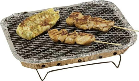 Grill piknikowy jednorazowy 600g 31x24x4,8cm 