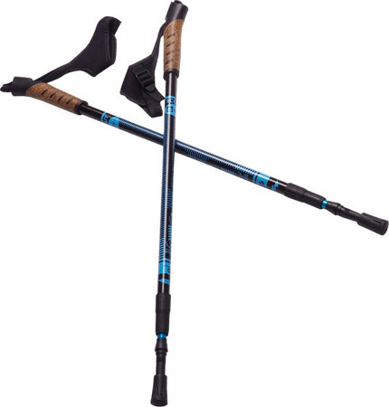 Kijki Nordic Walking Scout Bjorn niebieskie 3cz