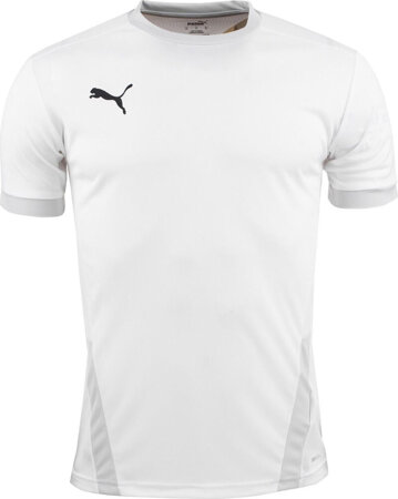 Koszulka dla dzieci Puma teamGOAL 23 Jersey biała 704160 04