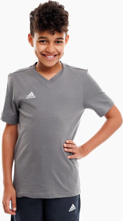 Koszulka dla dzieci adidas Entrada 22 Tee szara HC0444