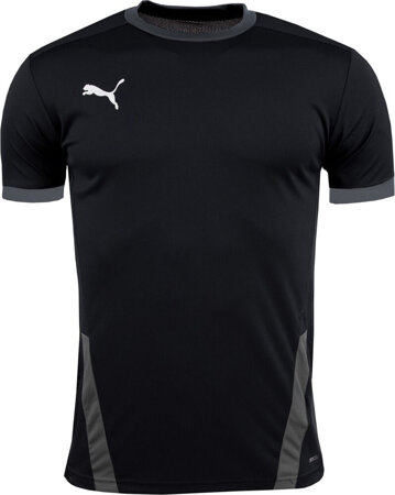 Koszulka męska Puma teamGOAL 23 Jersey czarna 704171 03