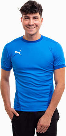 Koszulka męska Puma teamGOAL 23 Jersey niebieska 704171 02