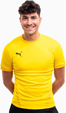 Koszulka męska Puma teamGOAL 23 Jersey żółta 704171 07