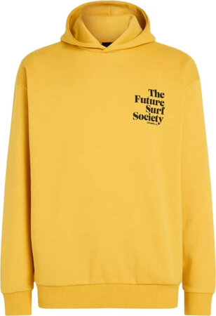 Męska bluza O'neill FUTURE SURF SOCIETY HOODIE golden haze rozmiar L