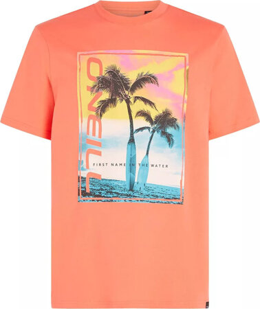 Męska koszulka z krótkim rękawem O'neill JACK O'NEILL NEON T-SHIRT living coral rozmiar L